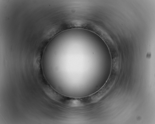 X0000102870509200808181509