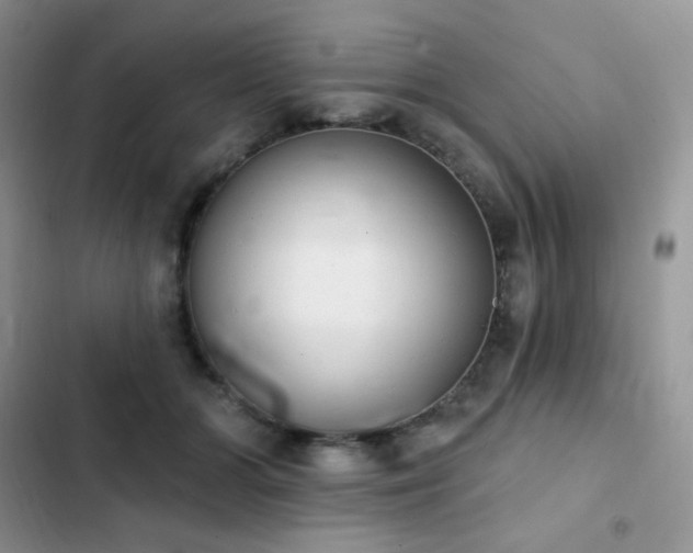 X0000102870510200808181509