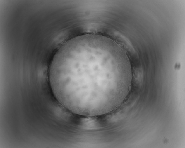X0000102870511200808181509
