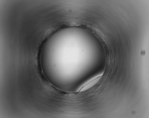 X0000102870512200808181509