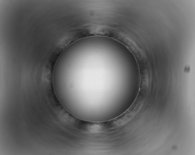 X0000102870513200808181509
