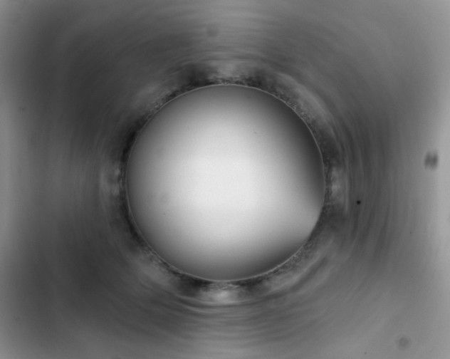 X0000102870514200808181509
