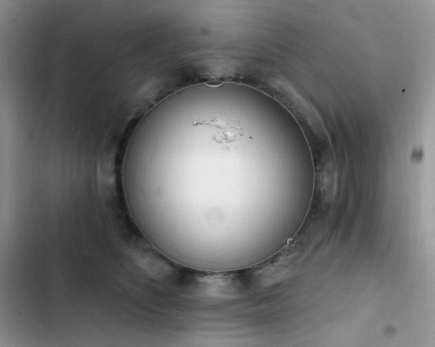 X0000102870516200808181509