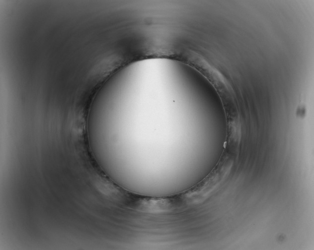 X0000102870517200808181509