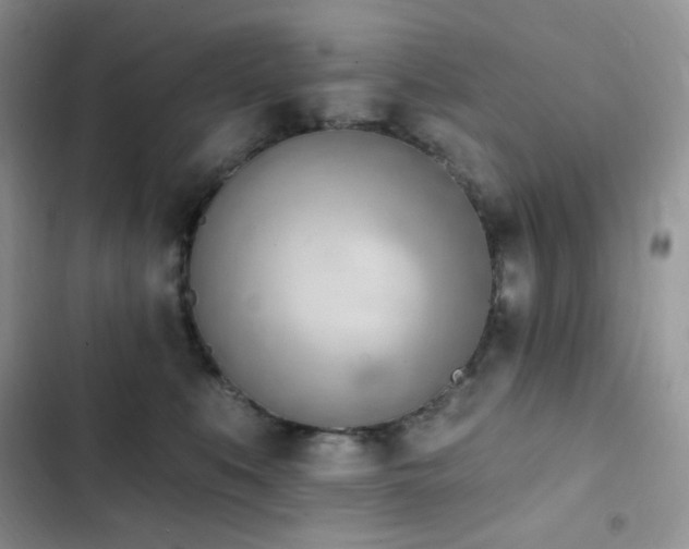X0000102870519200808181509