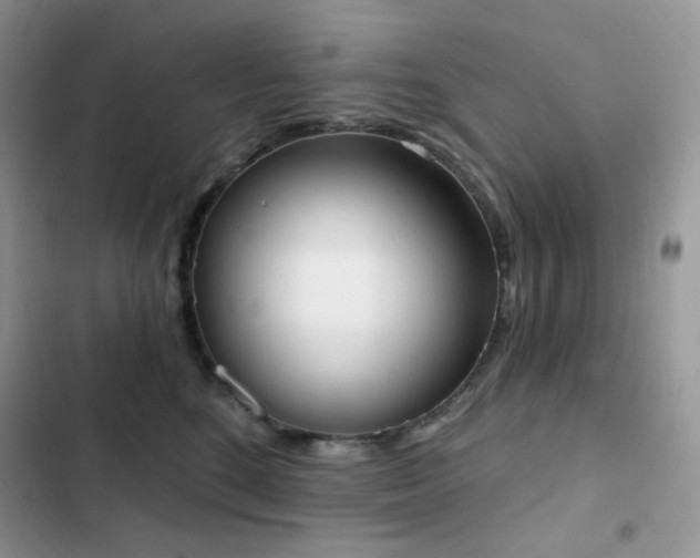 X0000102870520200808181509