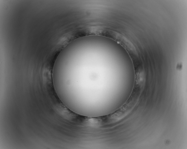 X0000102870522200808181509