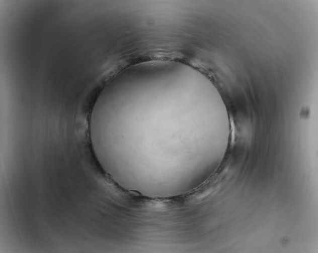 X0000102870523200808181509