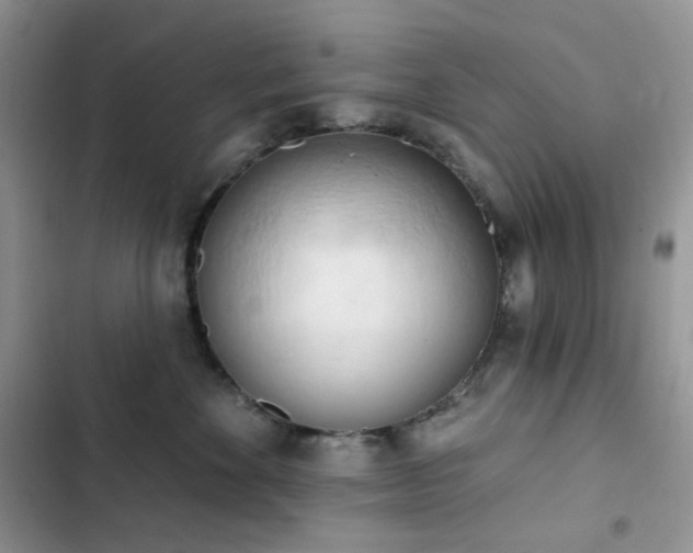 X0000102870524200808181508