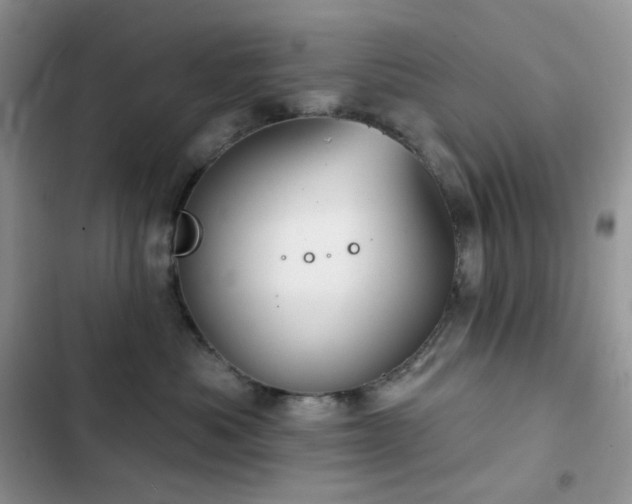 X0000102870525200808181508
