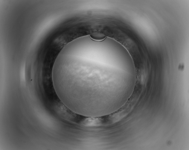 X0000102870526200808181508