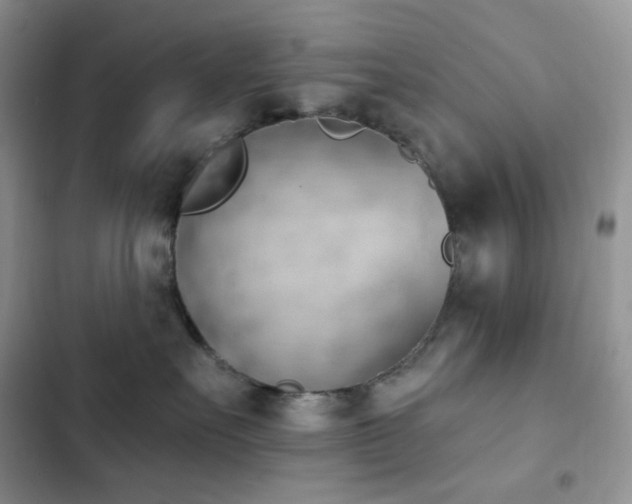 X0000102870527200808181508