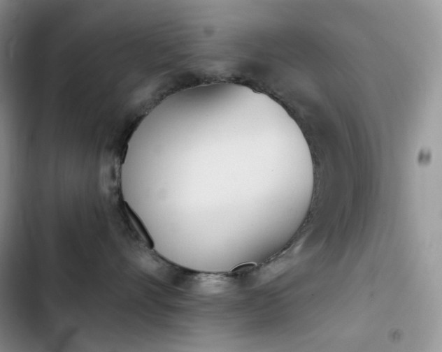X0000102870528200808181508