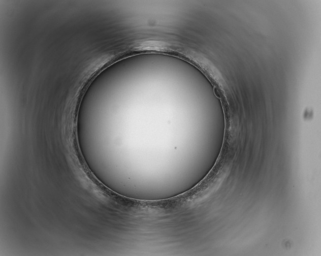 X0000102870529200808181508