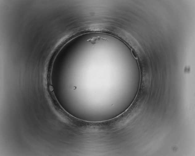 X0000102870530200808181508