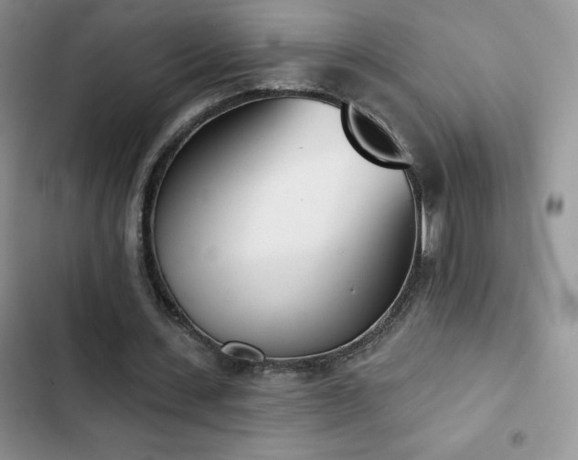 X0000102870531200808181508