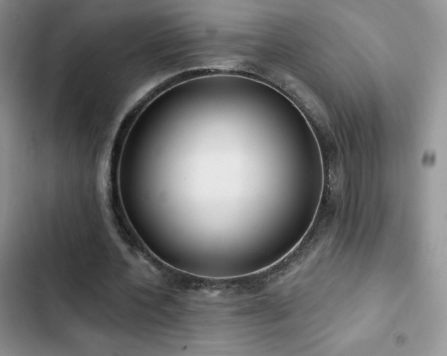 X0000102870532200808181508