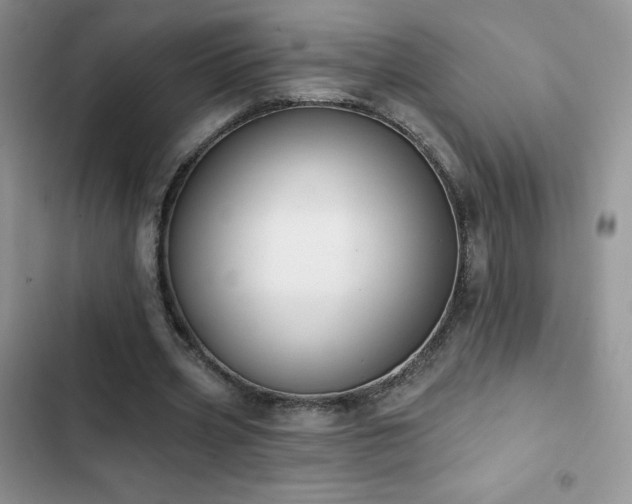 X0000102870533200808181508