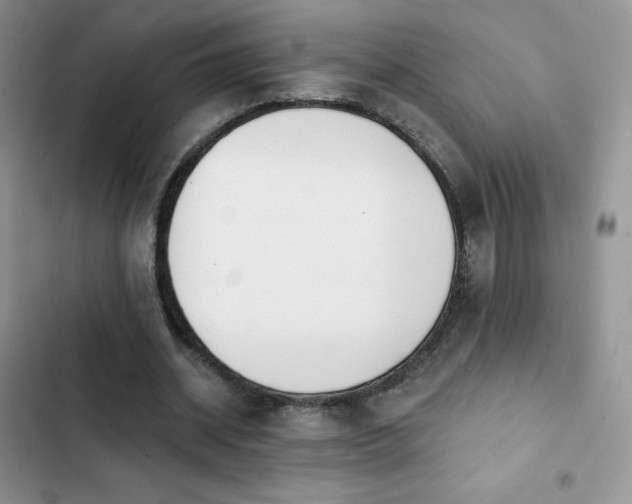 X0000102870534200808181508
