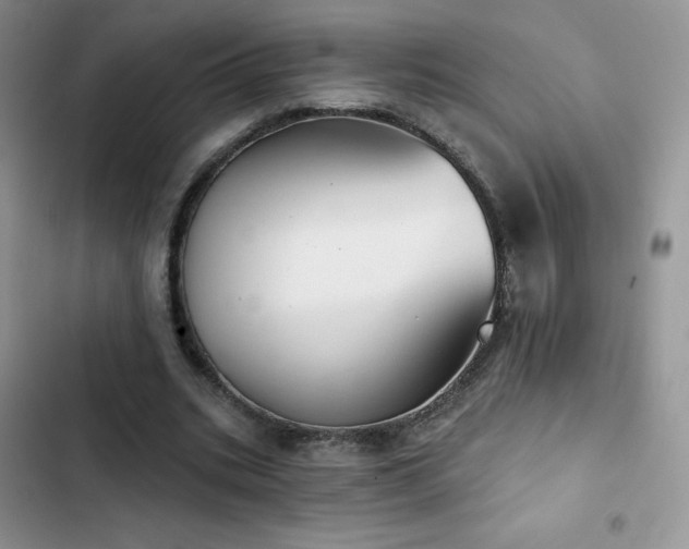 X0000102870535200808181508