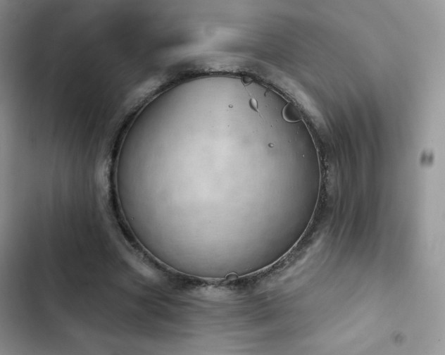 X0000102870537200808181508