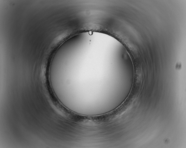 X0000102870538200808181508