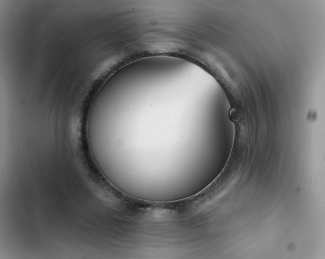 X0000102870539200808181508