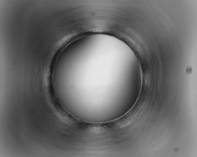 X0000102870540200808181508