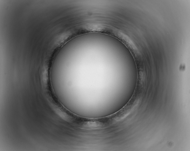 X0000102870541200808181508