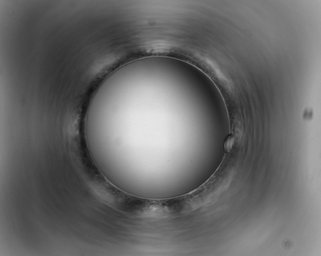 X0000102870543200808181508