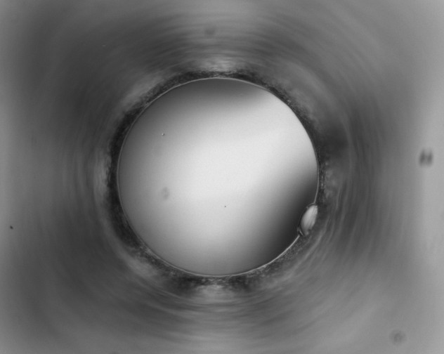 X0000102870544200808181508