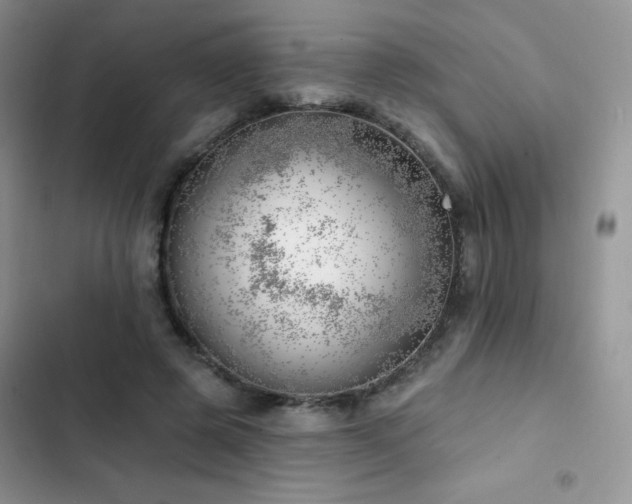 X0000102870545200808181508