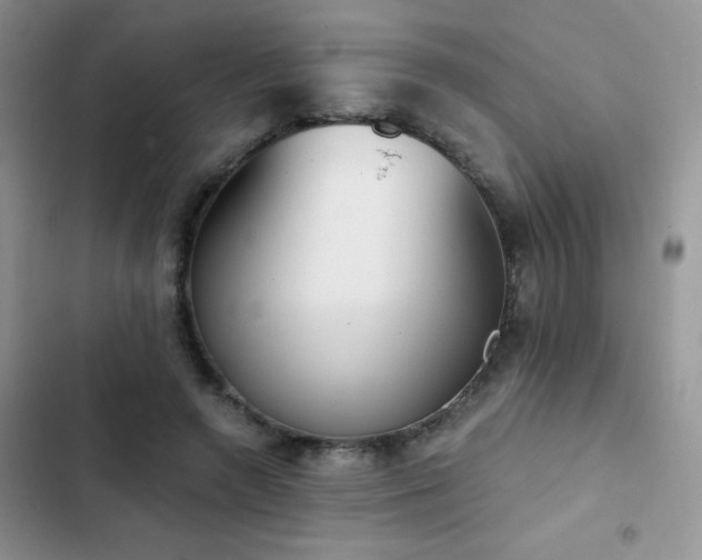 X0000102870546200808181508