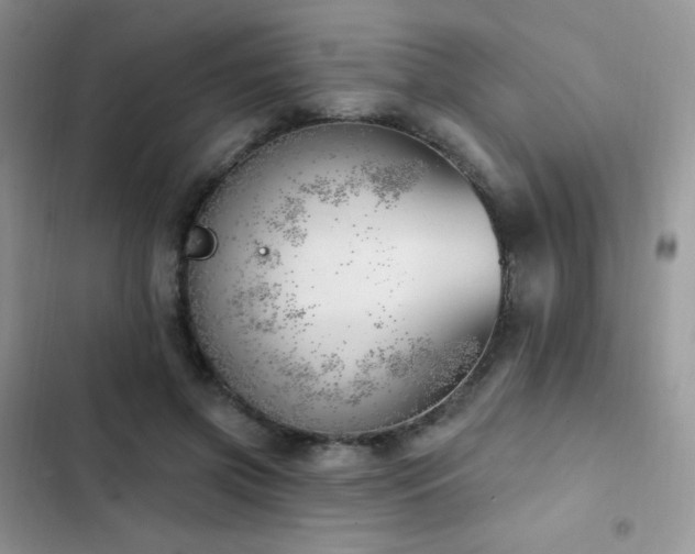 X0000102870549200808181508