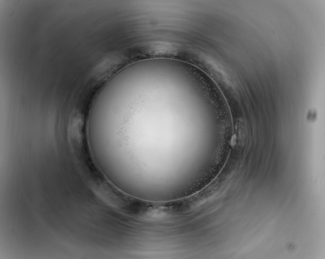 X0000102870550200808181508