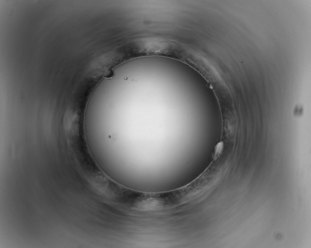 X0000102870551200808181508