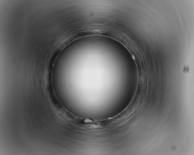 X0000102870552200808181508