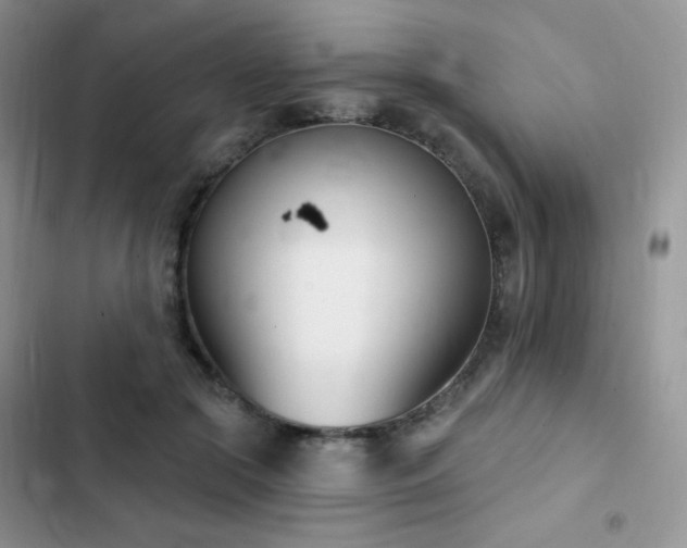 X0000102870553200808181508