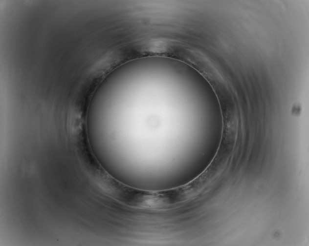 X0000102870555200808181508