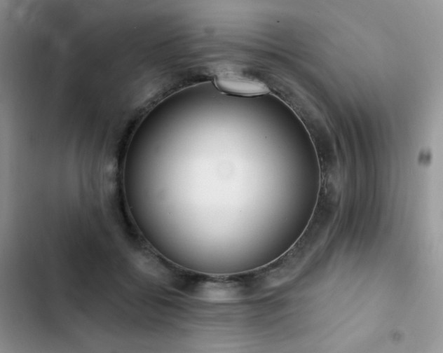 X0000102870556200808181508