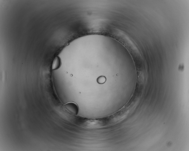 X0000102870557200808181508
