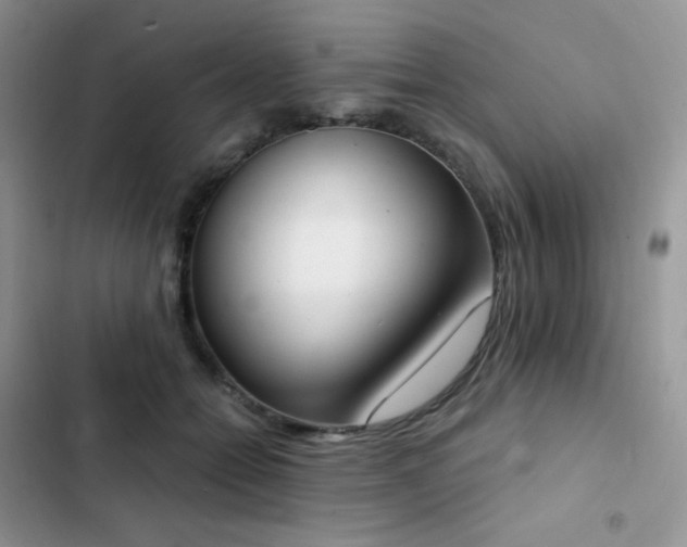 X0000102870558200808181508