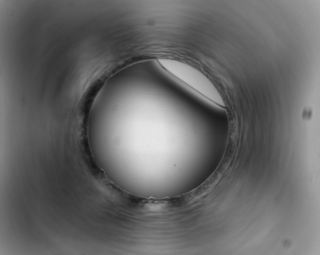 X0000102870560200808181508