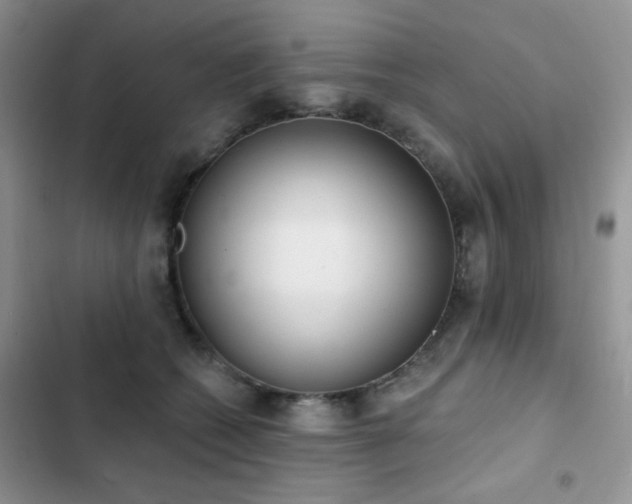 X0000102870562200808181508