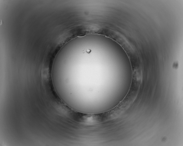 X0000102870564200808181508