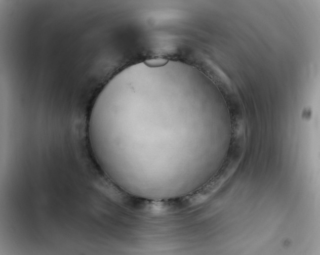 X0000102870565200808181508