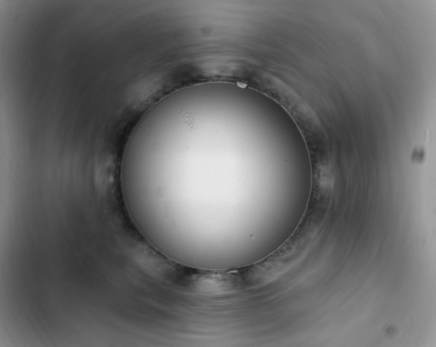 X0000102870567200808181508