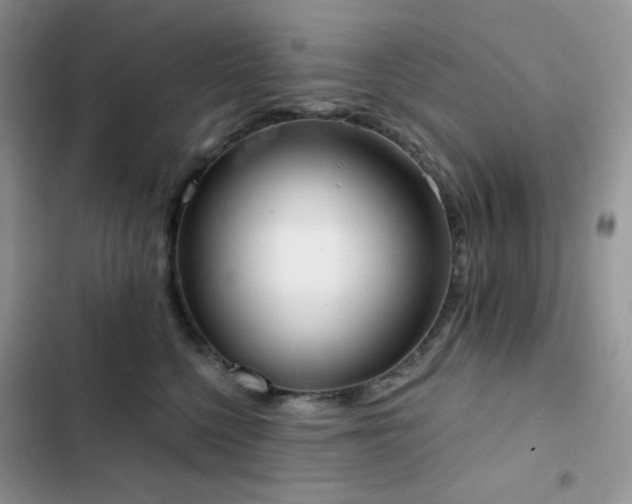 X0000102870568200808181508