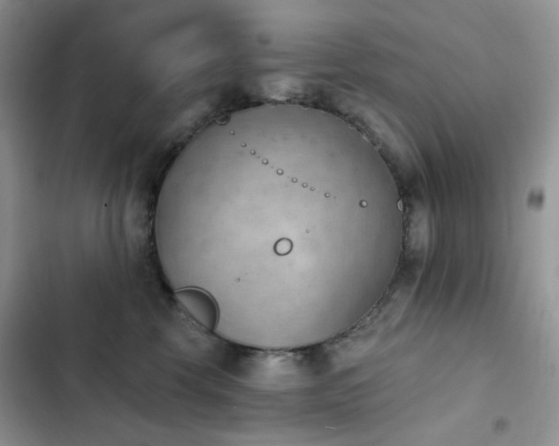 X0000102870569200808181508