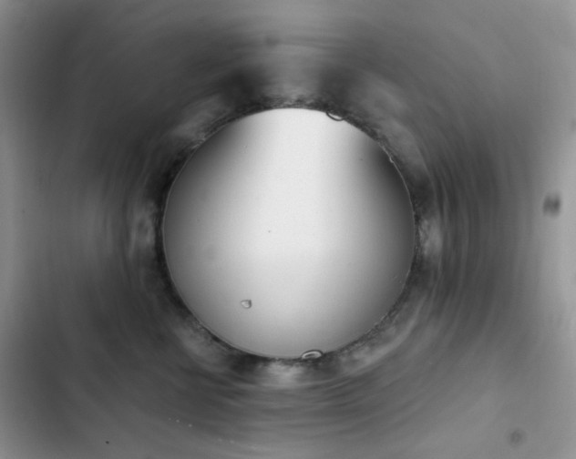 X0000102870570200808181508
